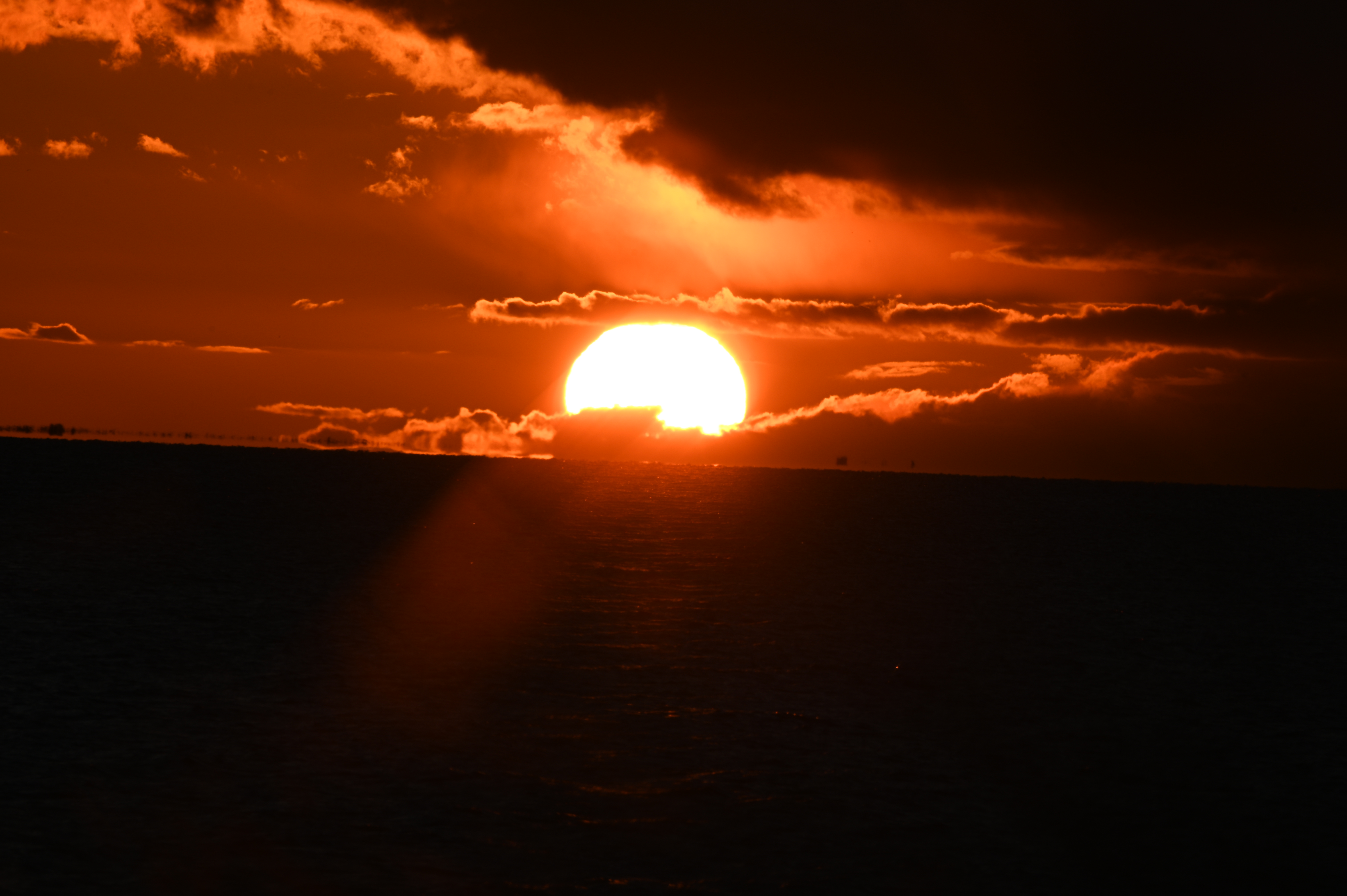 2025/10/18 - walk/DSC_0469.JPG